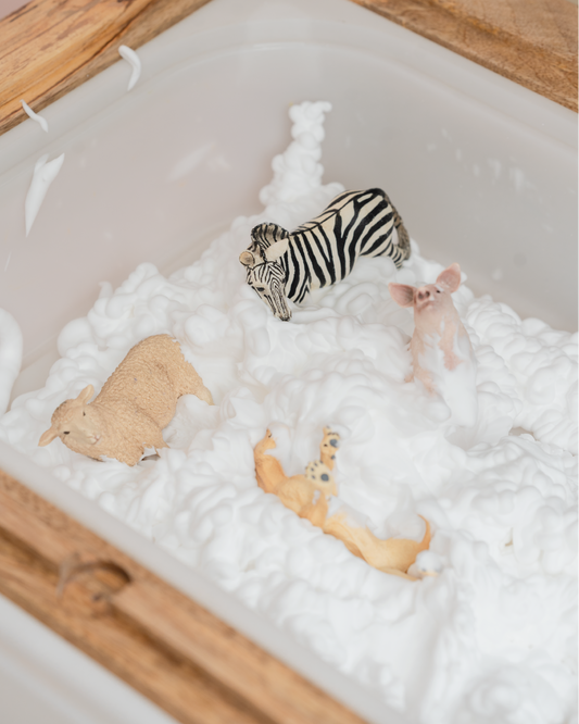 Emphasizing the Importance of Child-Centered Learning with Montessori Sensory Table